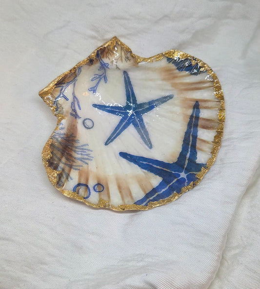 Porte bijoux Coquillage